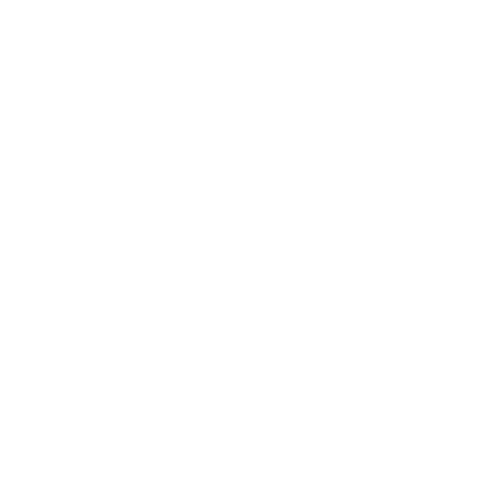 Studio 4955 Aesthetics